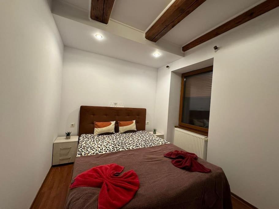 Iazi Apartament Brasov Exterior photo